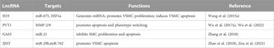 The role of long non-coding RNA in abdominal aortic aneurysm